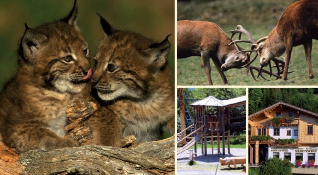 Wildpark Assling